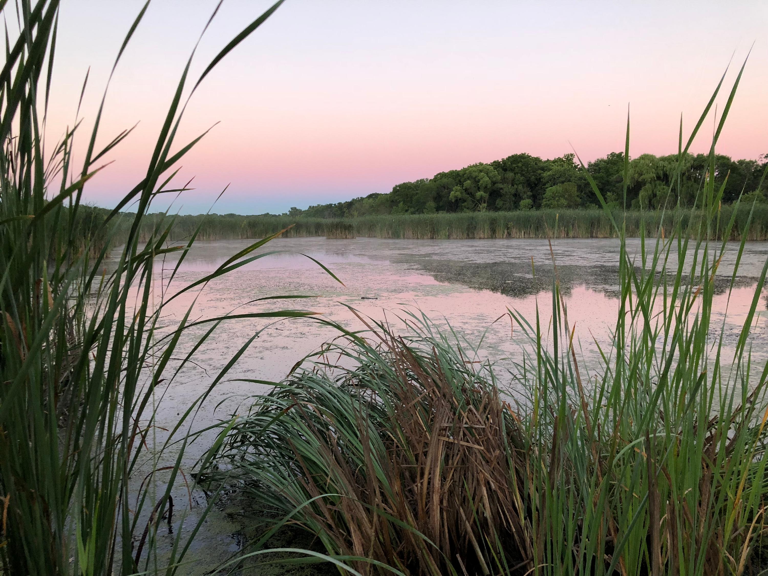 summer_2018_lewis_ln